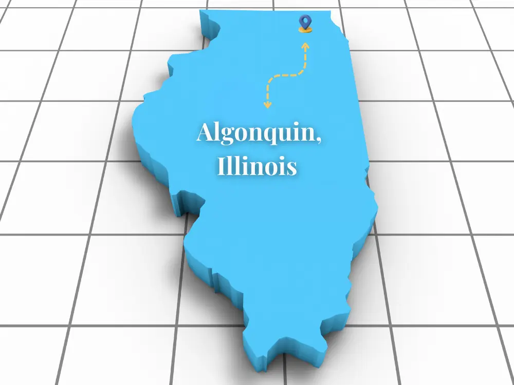 Algonquin, Illinois - Service Area of Vigeo Care Center & Aesthetics